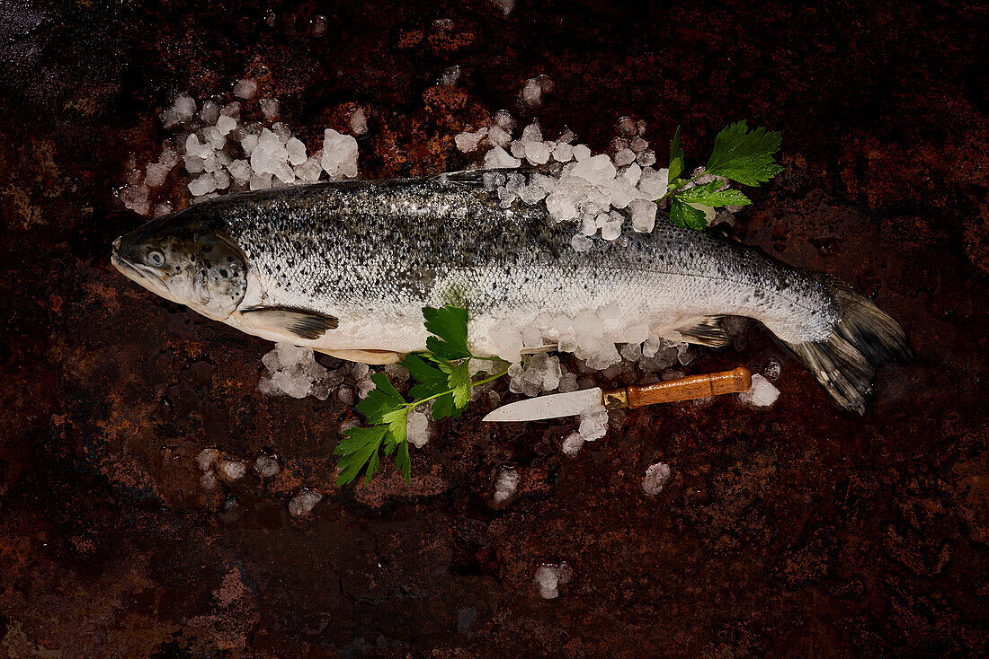 Draufsicht auf frischen, ungekochten Fisch mit Eis und grünen Blättern, der neben dem Messer auf einer felsigen Oberfläche liegt