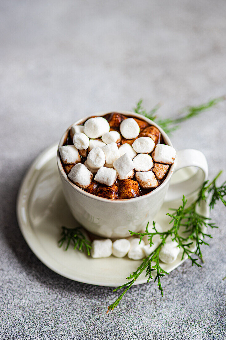 From above of cup of fresh cocoa with marshmallow on plate with green fir twigs placed on gray surface