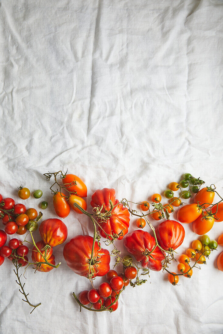 Top view of fresh ripe beef tomatoes with stem and weathered leaves placed on rough white fabric background