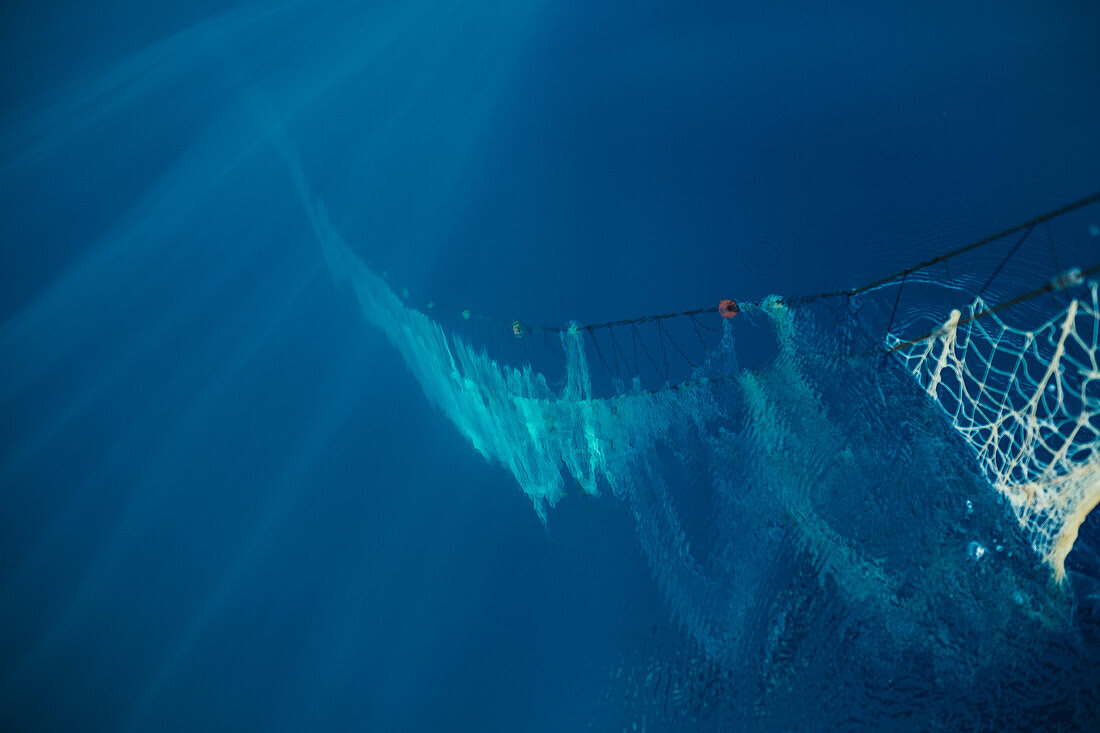Großes Netz mit Seilen schwimmt im tiefblauen Meerwasser unter Sonnenlicht beim traditionellen Fischfang in Soller