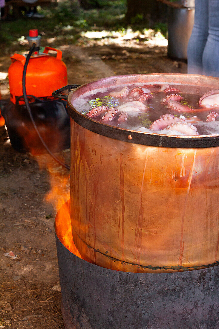 Large copper pot simmering fresh octopus, with steam rising above the boiling water, placed against orange gas cylinders and other cooking equipment in natural foliage