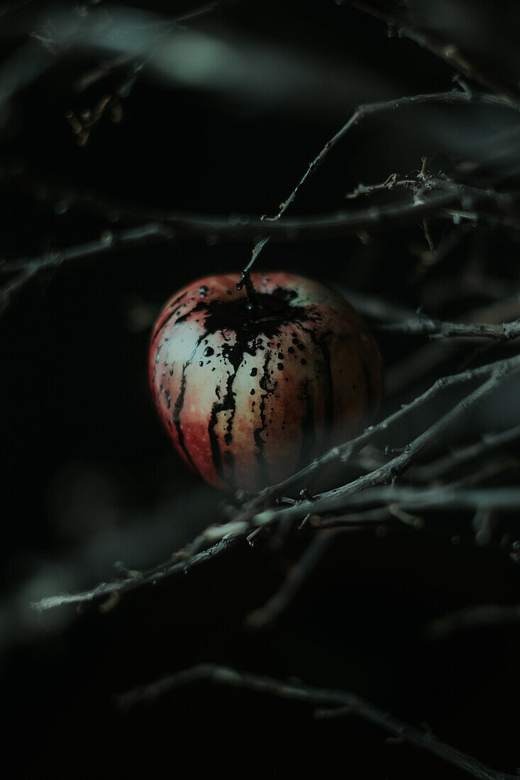Apfel mit schwarzem Inneren, auf einer Trockenrutsche hängend bei Nacht im unscharfen Hintergrund