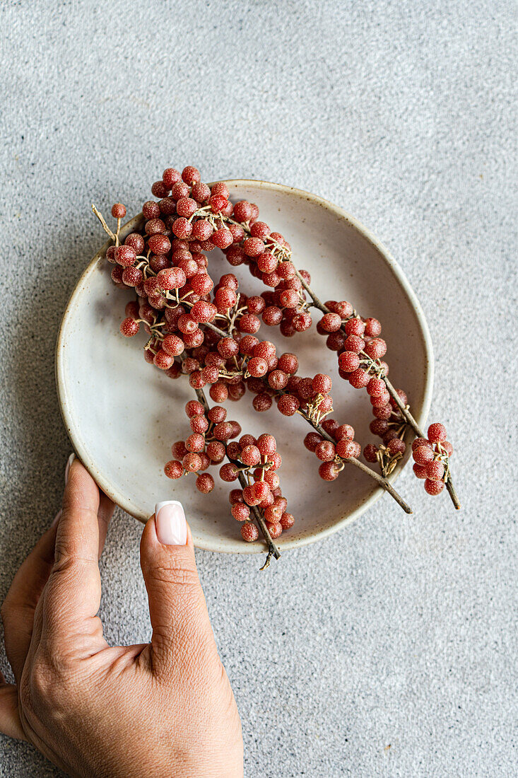 Anonymous holding a ceramic plate with a spray of organic buffaloberries against a textured grey background in natural light in concrete background