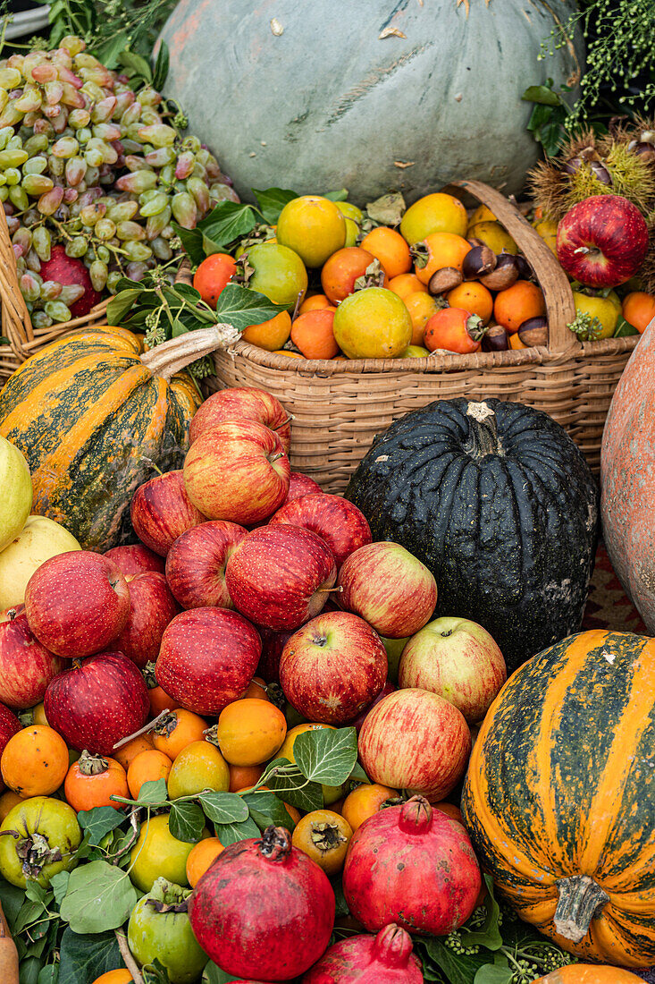 Assortment of fresh fruits and vegetables arranged in baskets and displayed on a grassy surface, with apples, oranges, pomegranates, and various types of pumpkins prominently featured.