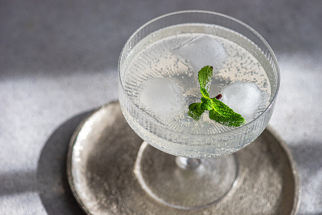 A sophisticated cocktail with ice and a sprig of mint, beautifully presented in a classic vintage glass atop a metallic tray