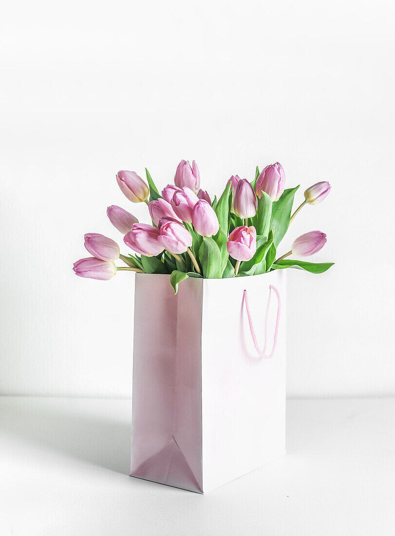 Bunch of pink blooming tulips in gift box on table at white wall background. Celebrating in mothers day in springtime with beautiful flowers. Front view.