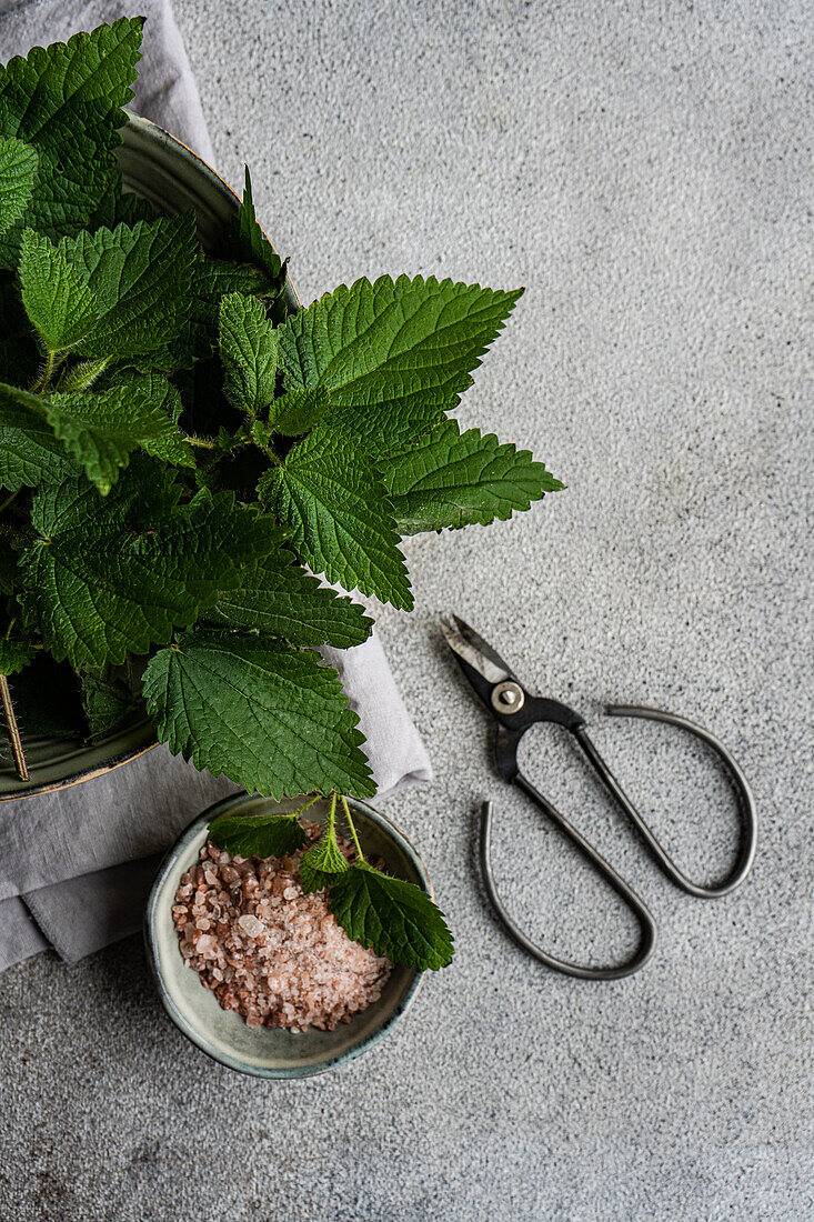 From above of vegan culinary scene with fresh nettle leaves in a metallic container a bowl of Himalayan pink salt and a pair of black scissors on a textured gray surface