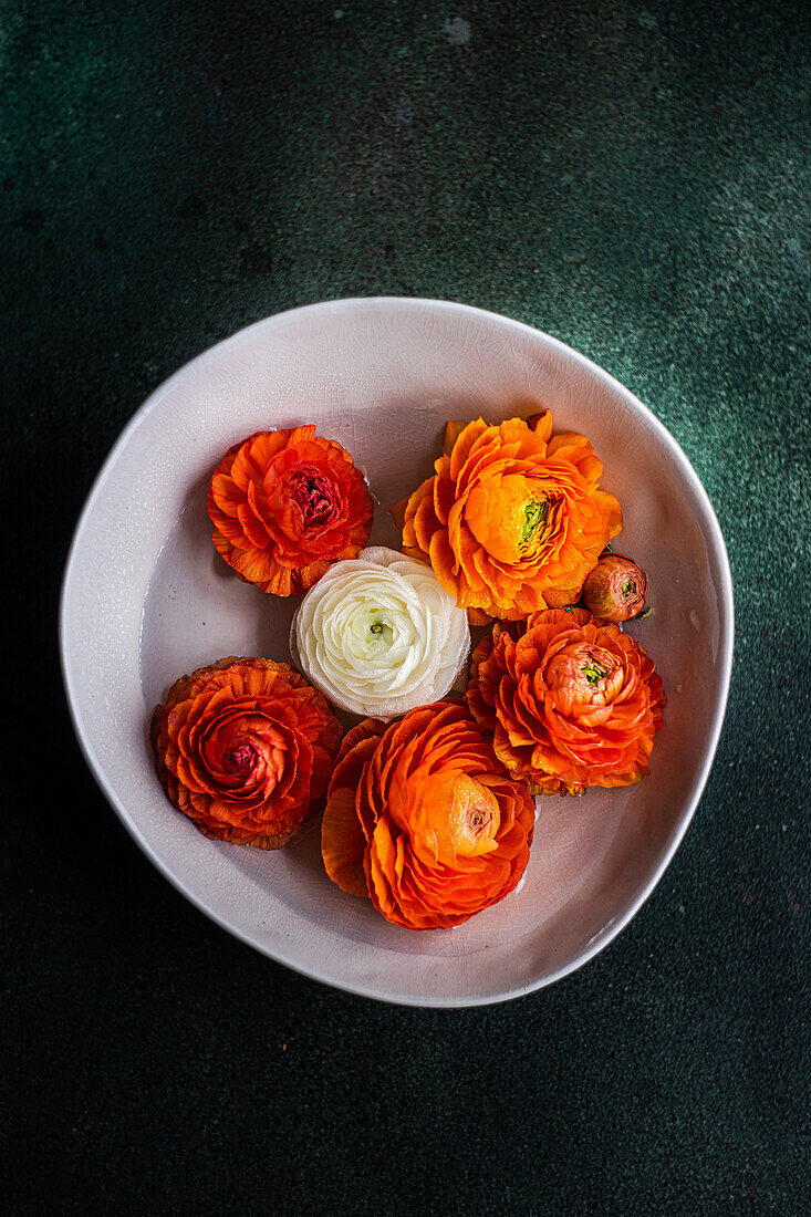 Top view of Interior decoration with bowl full of Ranunculus flower head on concrete table