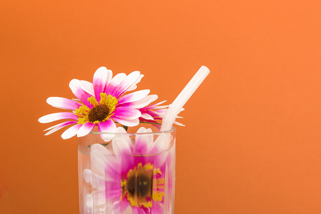 Transparent glass of refreshing cold drink decorated with pink flowers and straw against bright orange wall