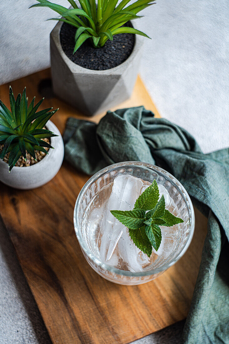 Top view of glass of mineral water with ice cubes and fresh mint leaves placed on wooden tray with potted plants and napkin against gray background