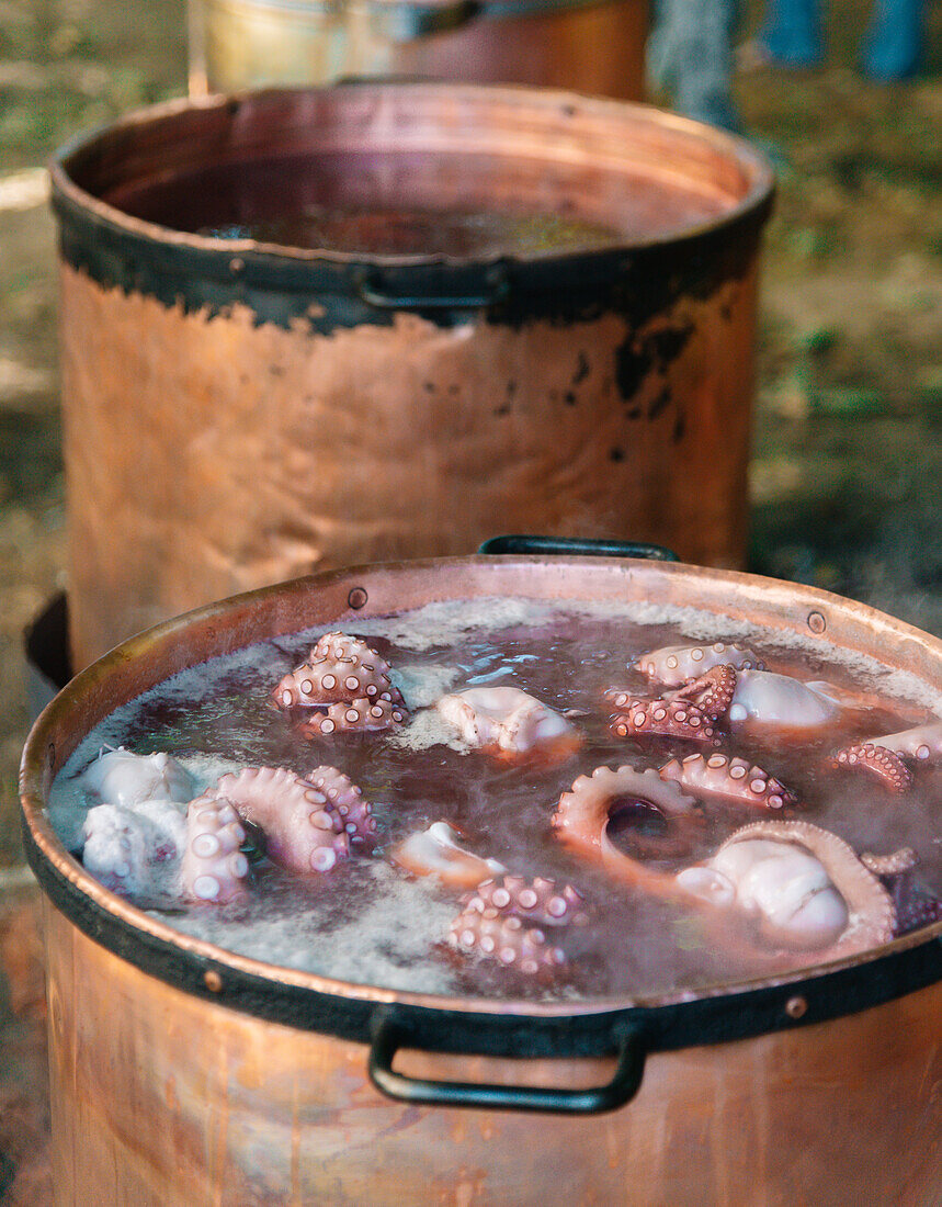 Traditionelle galicische Kochmethode mit kochenden Tintenfischtentakeln in einem großen, mit Wasser gefüllten Kupfertopf, der über einer offenen Flamme köchelt und den Tintenfisch langsam bis zur Perfektion gart