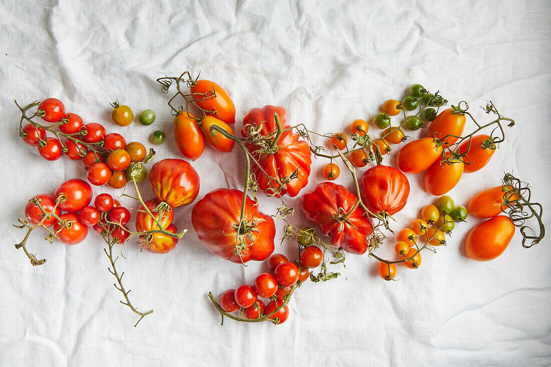 Top view of fresh ripe beef tomatoes with stem and weathered leaves placed on rough white fabric background