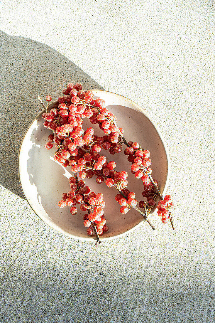 From above cluster of ripe buffaloberries is artfully arranged on a ceramic plate, bathed in the soft glow of sunlight in concrete background
