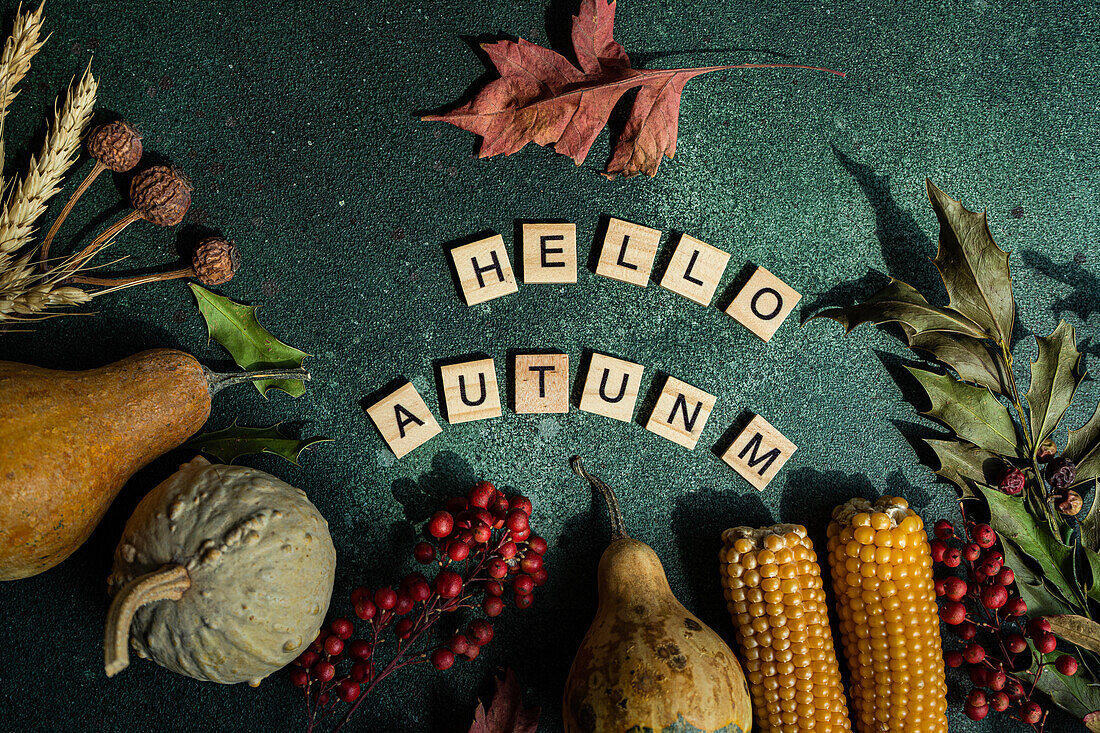 Komposition aus reifem, gesammeltem Kürbis und Maiskolben, arrangiert mit Spielwort-Holzfliesen mit der Aufschrift "Hello Autumn" auf grünem Hintergrund