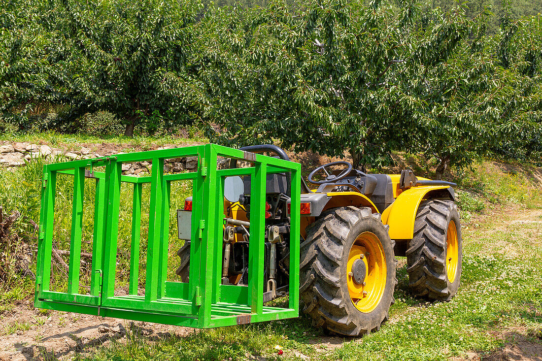 Gelber Traktor mit speziellem grünem Metall-Hydraulik-Harvester auf einem Acker an einem sonnigen Tag