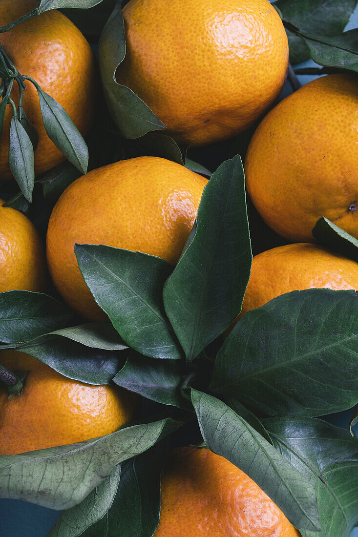 A vibrant close-up of ripe oranges with lush green leaves, full of natural textures and colors.