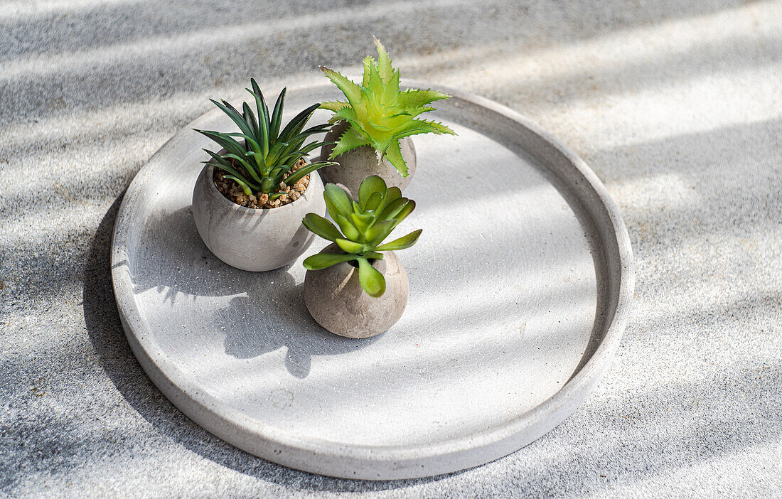 Hoher Winkel eines minimalistisch gedeckten Tisches mit kleinen Topfpflanzen im Sonnenlicht