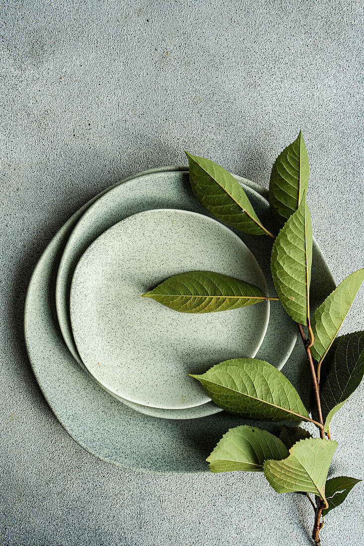 Eine ruhige Komposition mit frischen grünen Kirschblättern, die auf gedämpften Keramiktellern vor einem strukturierten grauen Hintergrund ruhen