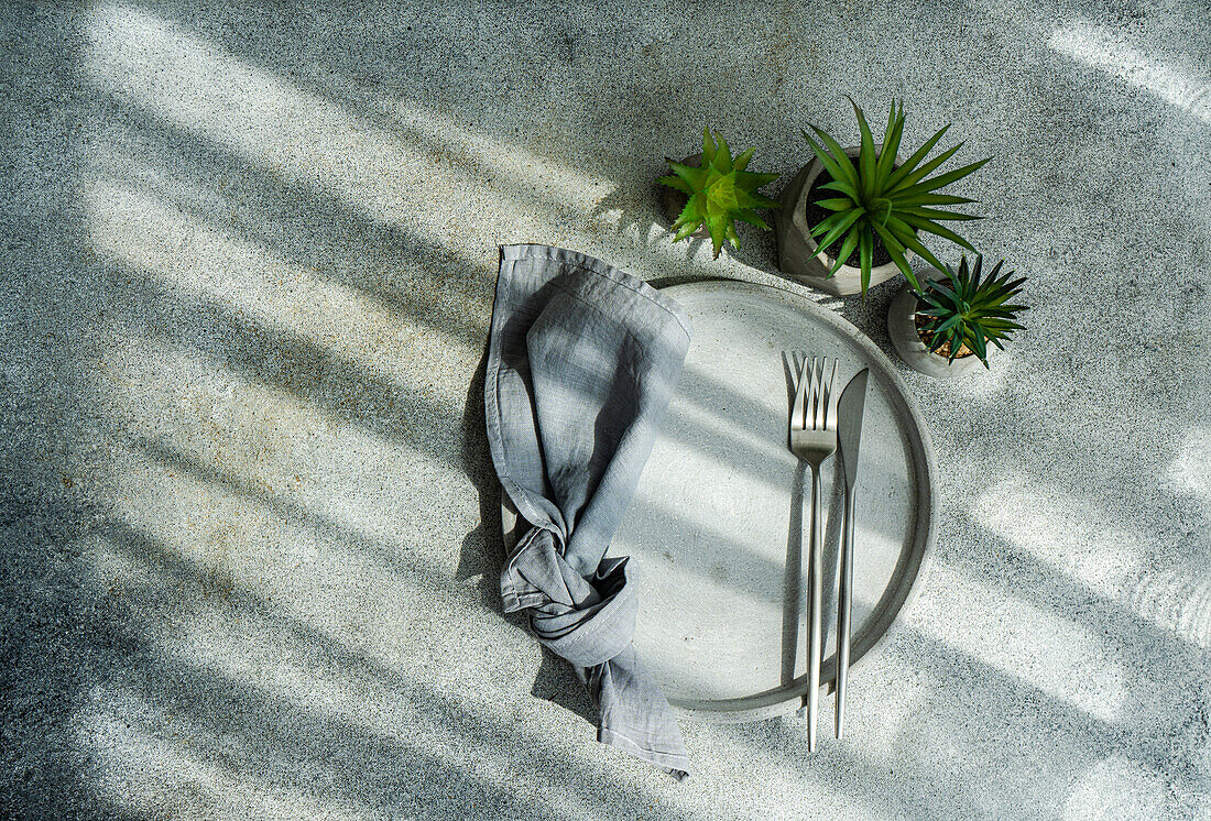 Draufsicht auf einen minimalistisch gedeckten Tisch mit kleinen Topfpflanzen neben einem Teller mit Besteck und Serviette im Sonnenlicht