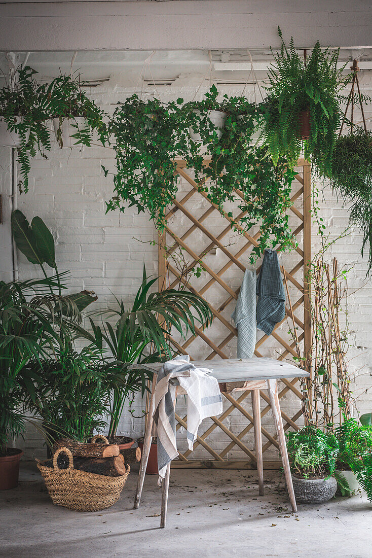 Wooden table with cloth placed on concrete floor against white brick wall decorated by potted plants in light studio