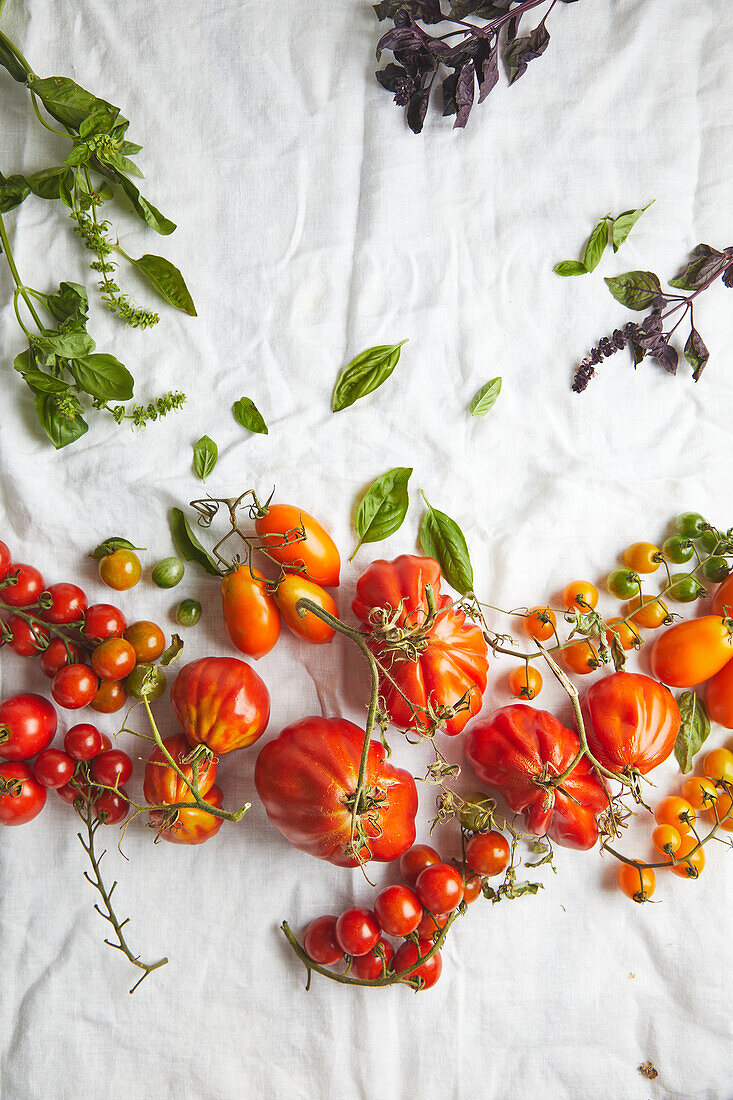 Draufsicht auf frische reife Fleischtomaten mit Stiel und verwitterten Blättern auf rauem weißen Stoffhintergrund