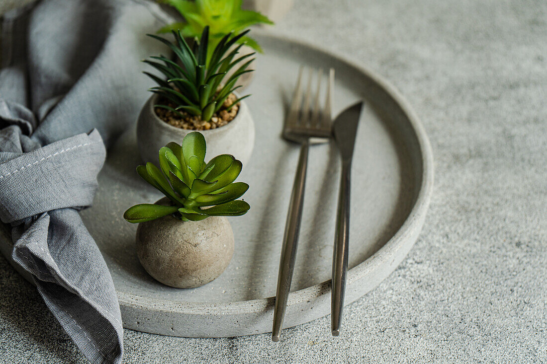 High angle of minimalist table setting with small potted plants on plate with cutlery against blurred background