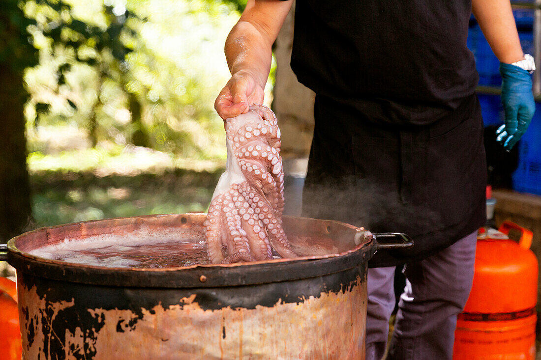 Crop anonymous chef, wearing gloves and an apron, holds a fresh octopus above a rustic boiling pot outdoors, with trees in the background and a gas tank nearby