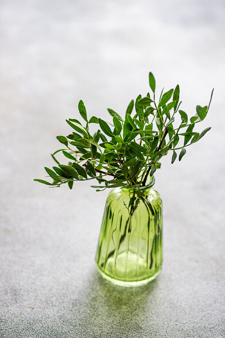 Tischdekoration mit einer frischen Pistazienpflanze in einer durchsichtigen Vase vor einer grauen Fläche im Tageslicht