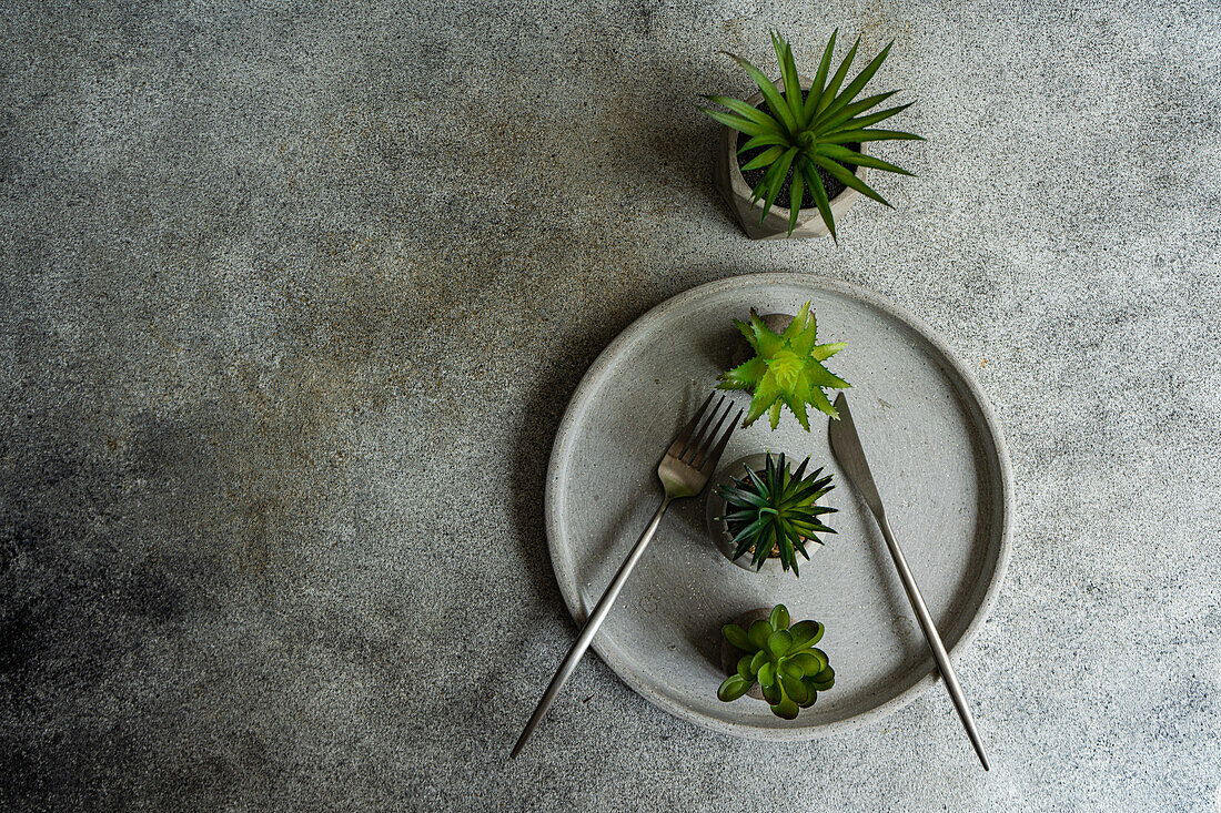 Draufsicht auf einen minimalistisch gedeckten Tisch mit kleinen Topfpflanzen auf einem Teller mit Besteck im Sonnenlicht