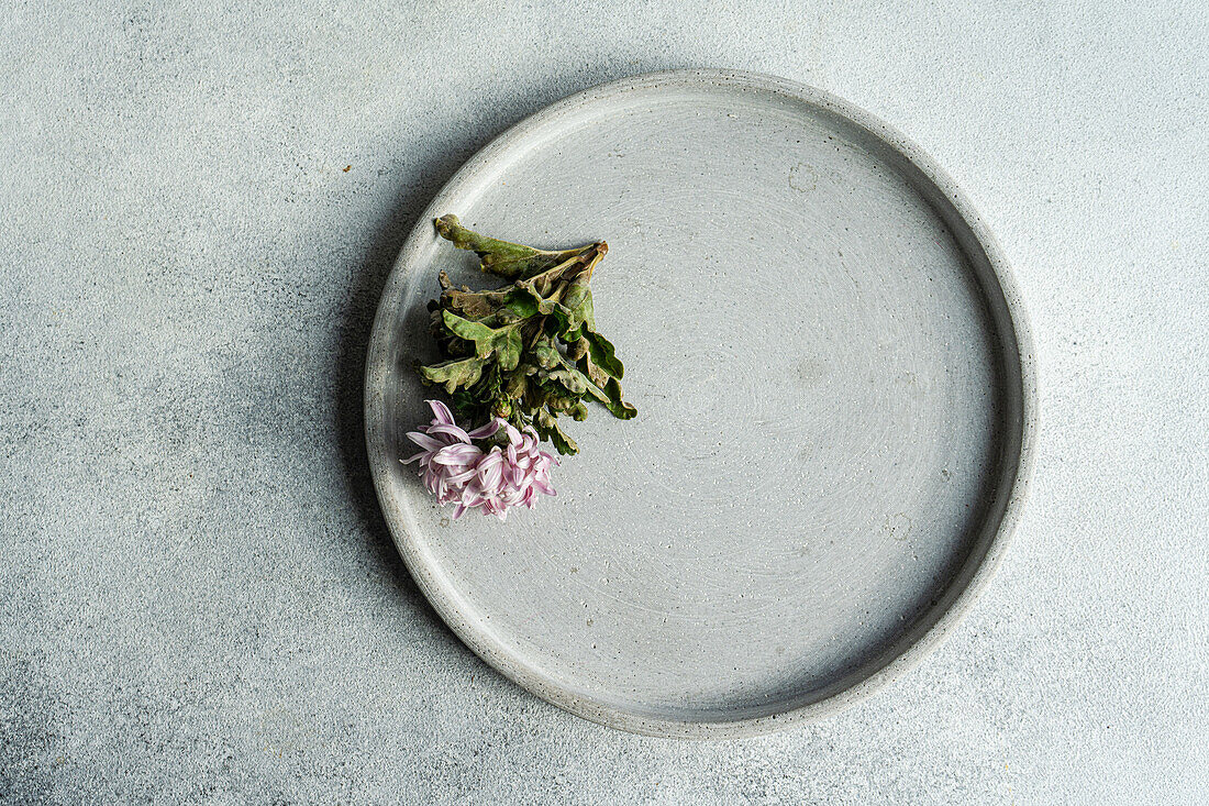A minimalist food presentation on a gray ceramic plate over a textured surface.
