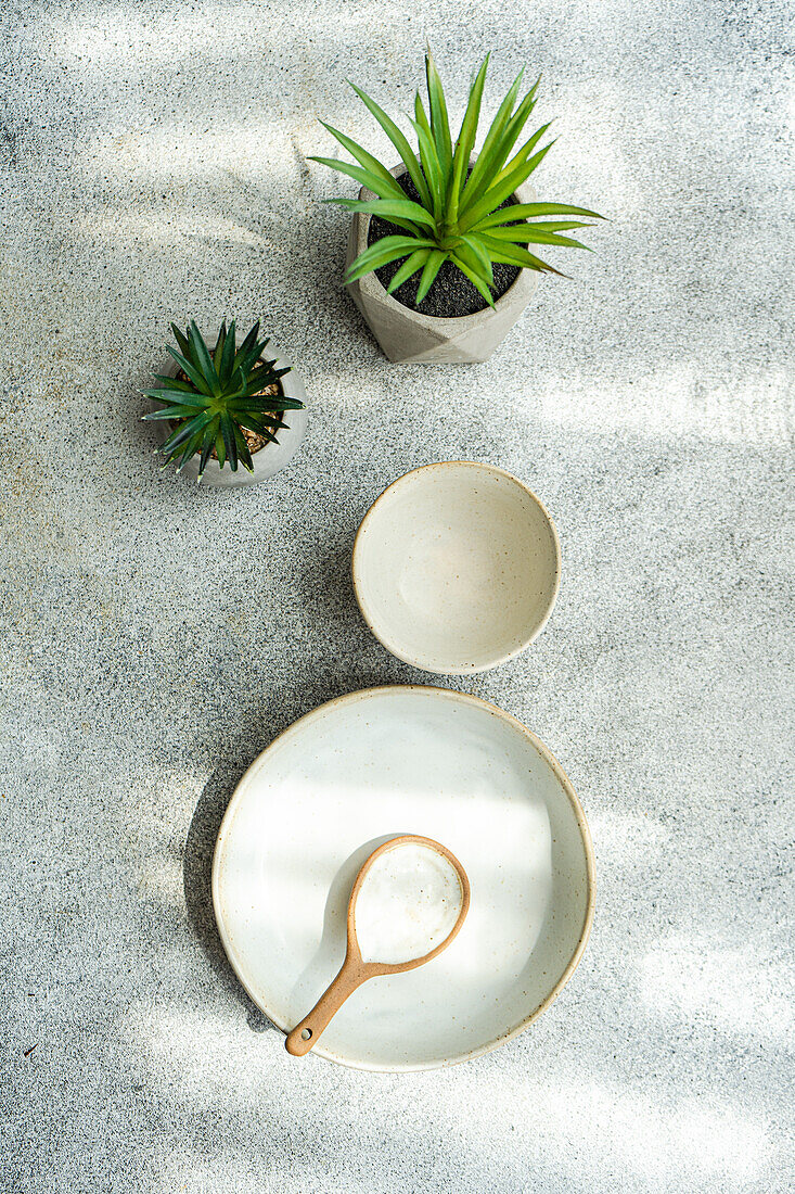 Draufsicht auf Keramikgeschirr, bestehend aus Schüssel, Teller und Holzlöffel, neben Topfpflanzen auf grauem Untergrund