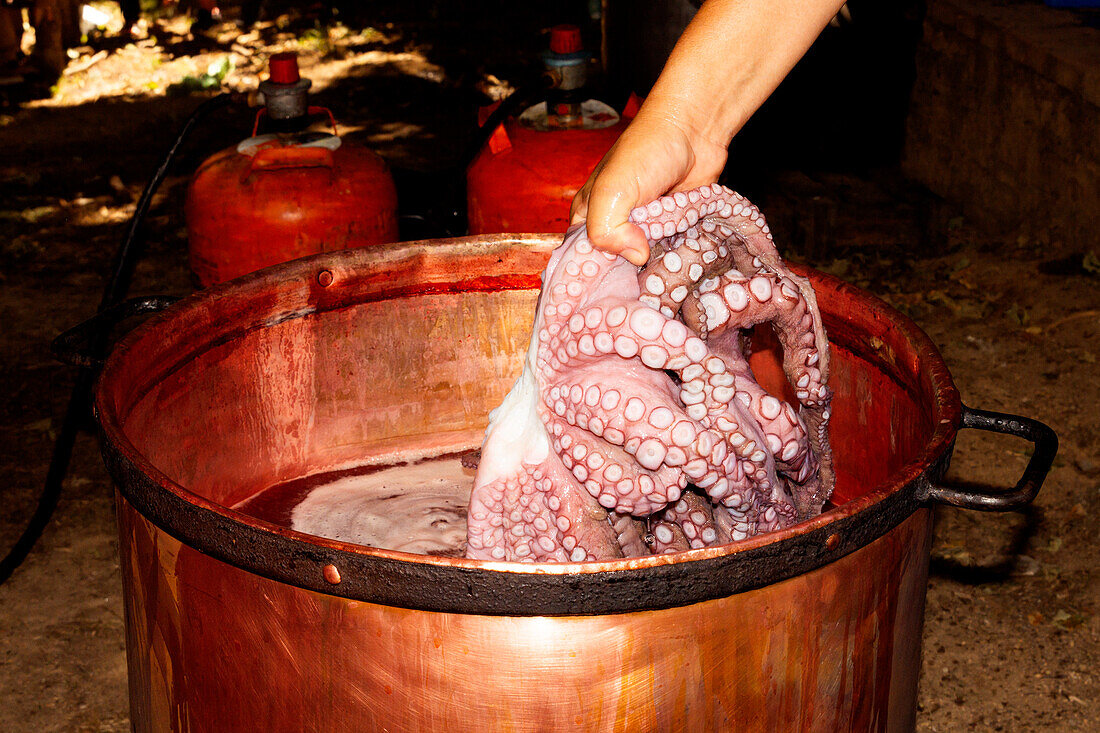 Die Hand eines Menschen hebt einen frisch gekochten Oktopus aus einem rustikalen Kupfertopf, im Hintergrund sind Gaskanister und die Umgebung im Freien schwach zu erkennen