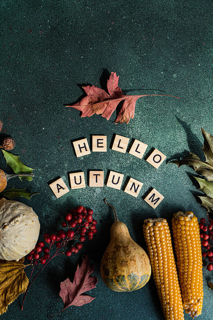 Top view composition of ripe collected pumpkin and corn cobs arranged with game word wood tiles saying Hello Autumn on green background