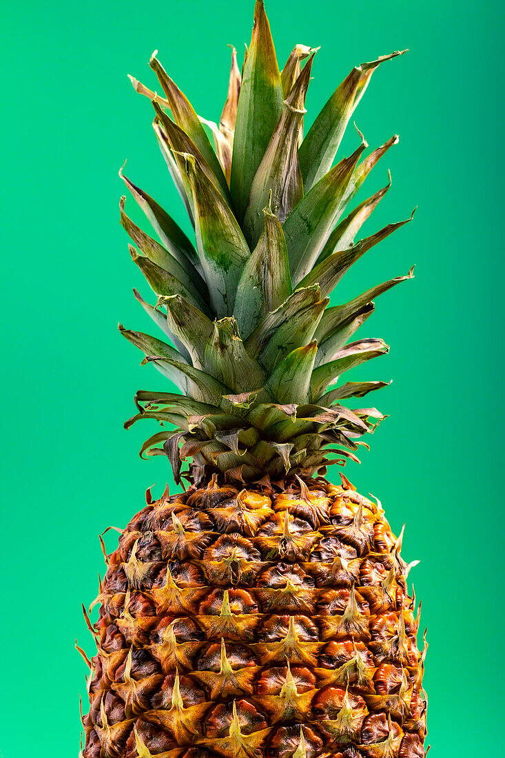 Close up view of whole raw ripe pineapple against green background