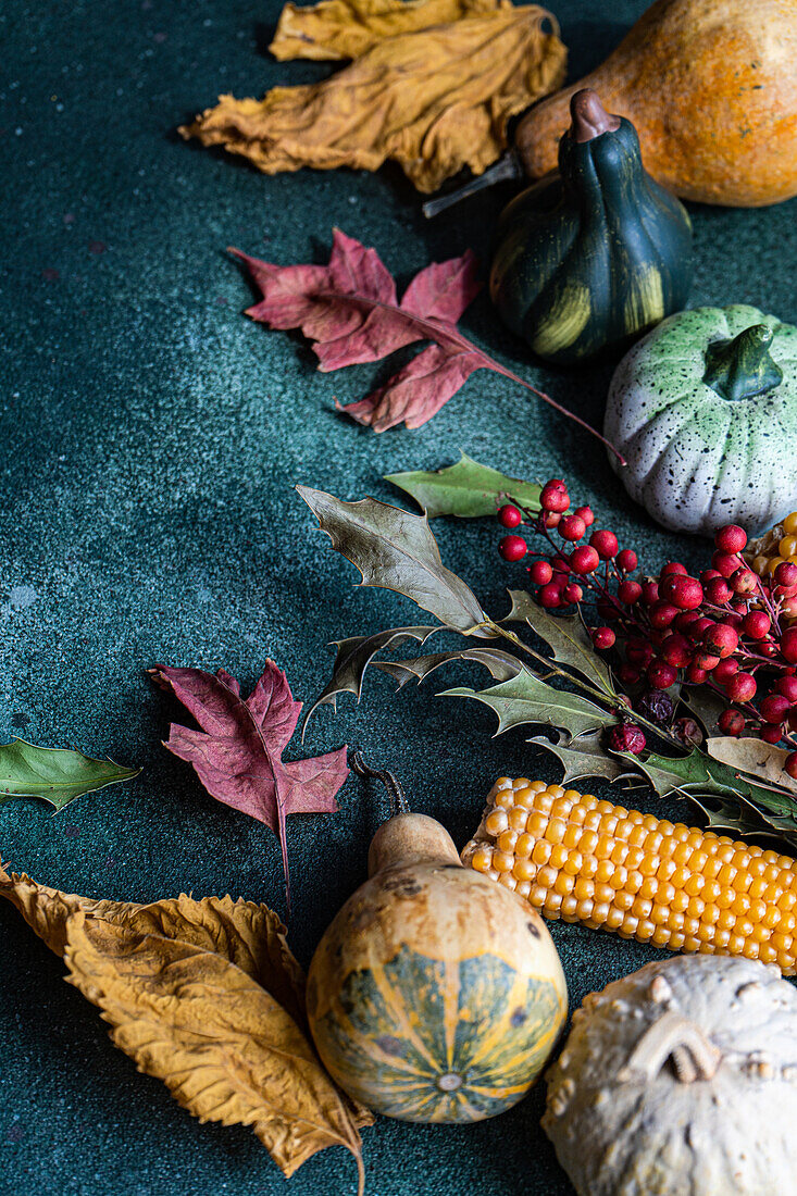 Top view of empty dark green background with line and dried leaves of composed multicolored pumpkins for autumn season