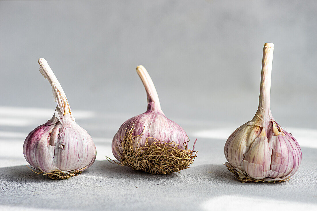 Close-up of raw garlic bulbs with detailed texture on a neutral gray background showcasing their natural purple hue and intricate roots