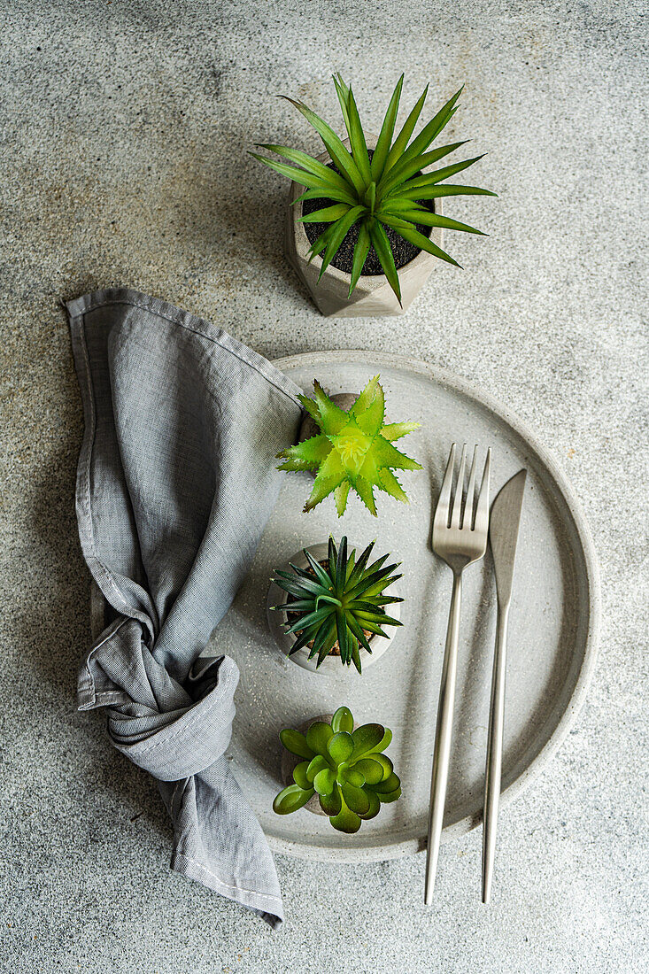 Draufsicht auf einen minimalistisch gedeckten Tisch mit kleinen Topfpflanzen auf einem Teller mit Besteck und Serviette im Sonnenlicht