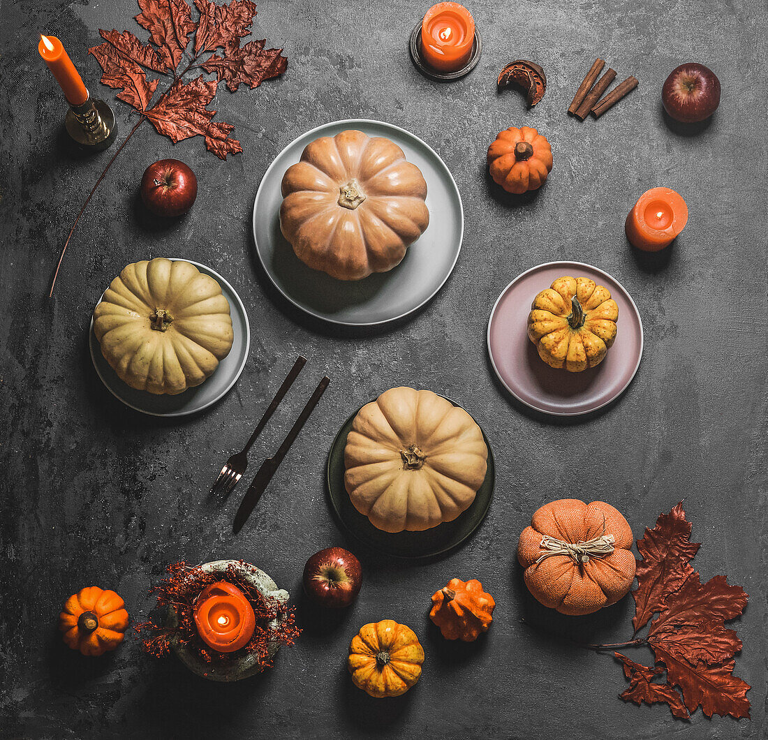 Herbstlich gedeckter Tisch mit verschiedenen Kürbissen, Tellern, Besteck und Herbstblättern vor grauem Hintergrund. Blick von oben