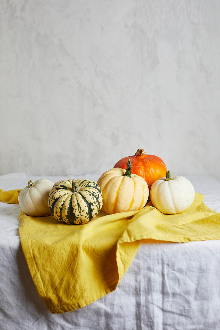 Still life composition with assorted types of whole fresh round squashes of various colors placed in table with a yellow towel near white wall