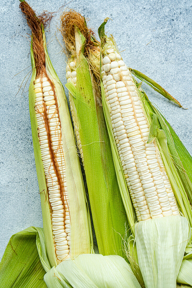 Top view of crop raw ripe corns with green husks placed on gray surface