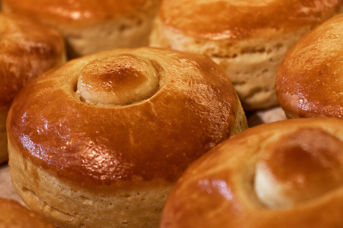 Closeup collection of freshly baked delicious hot round bread with crispy crust placed on table in bakery