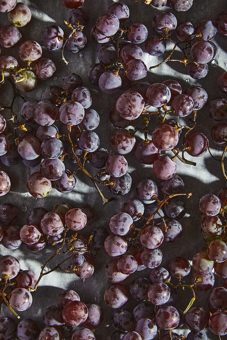 Top view of metal baking pan with fresh ripe black grapes placed on parchment paper in kitchen