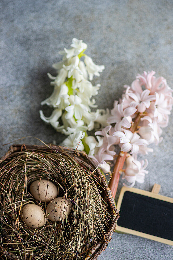 Draufsicht auf ein Nest mit Eiern und Hyazinthenblüten auf einem Betonhintergrund als Konzept für eine Osterkarte