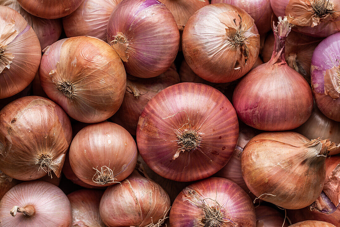 Top view full frame background of various colorful fresh onions placed together in local market