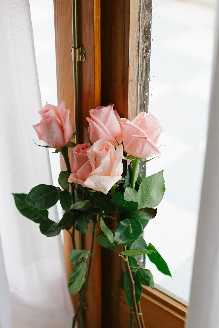 Pink roses bouquet inside hanging on wooden door