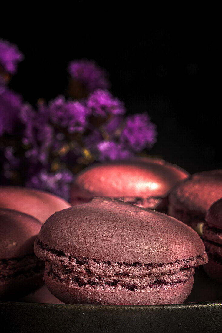 Delicious sweet macaroons of purple color together on sunlit table in morning
