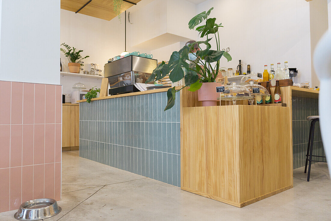 Wooden counter with assorted syrups and various sweet dessert in light modern coffee house with potted green plant and cups