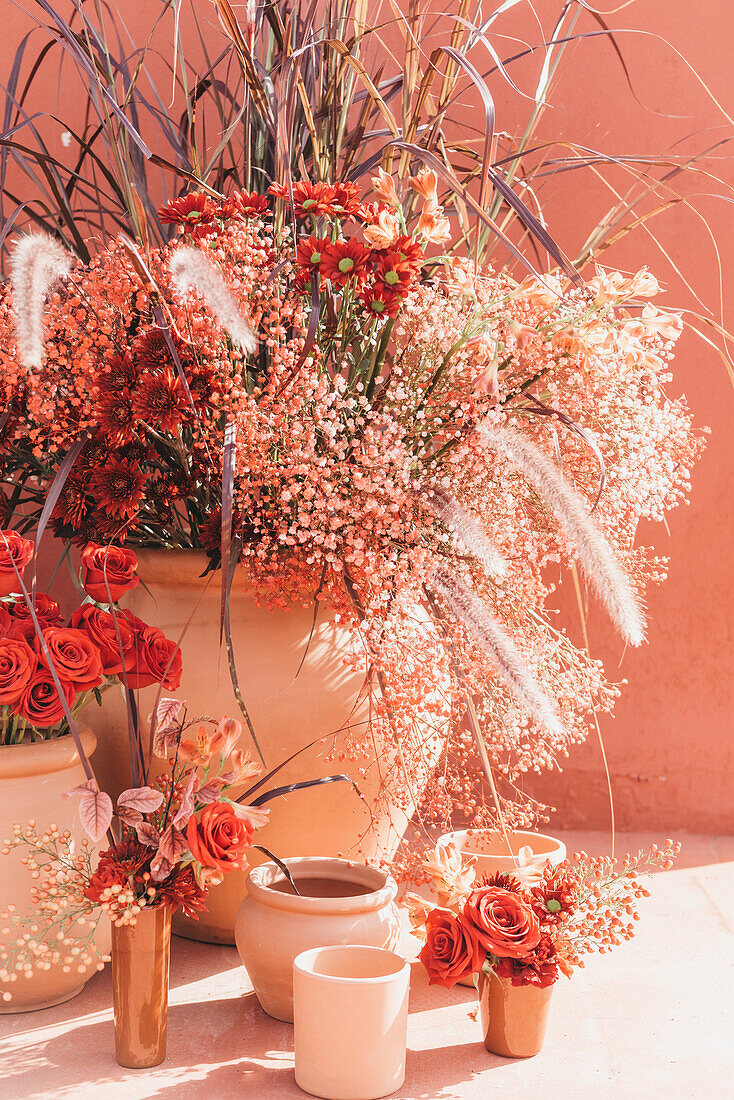 Composition of clay pots with blooming roses gypsophilia flowers and decorative grass at sunlight near red wall