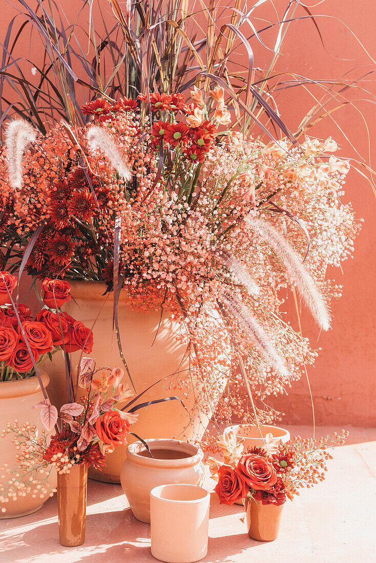 Komposition aus Tontöpfen mit blühenden Rosen, Schleierkraut und dekorativem Gras im Sonnenlicht an einer roten Wand