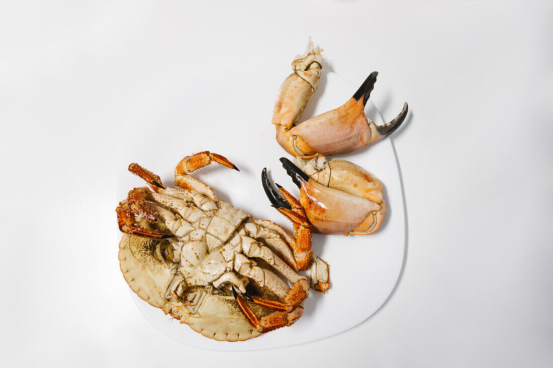Draufsicht auf eine appetitliche gekochte ganze Krabbe mit Scheren, die auf einem Teller auf weißem Hintergrund in einer hellen Küche zu Hause serviert wird